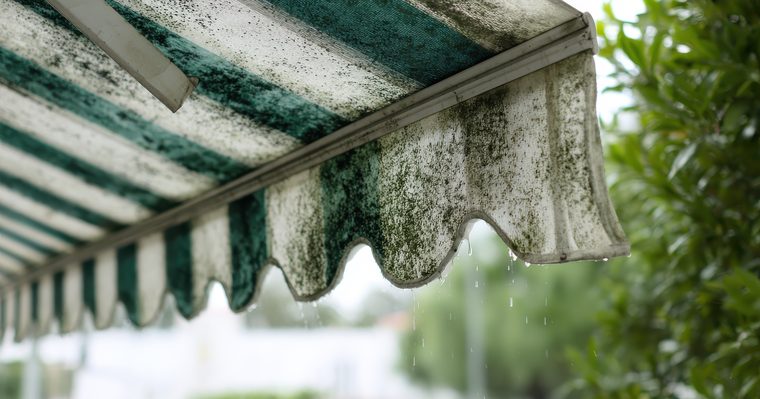 Manchas verdes de moho sobre la lona clara de un toldo