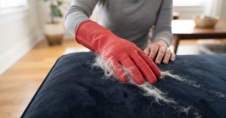 Pelo de mascota acumulado en el asiento de un sofá de tela
