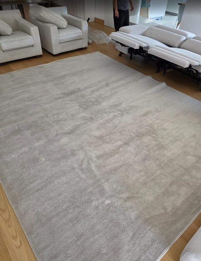 Alfombra grande de salón limpiada a domicilio, extendida sobre el suelo